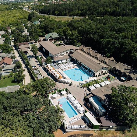 Отель Complex Turistic Codru Selistea Экстерьер фото
