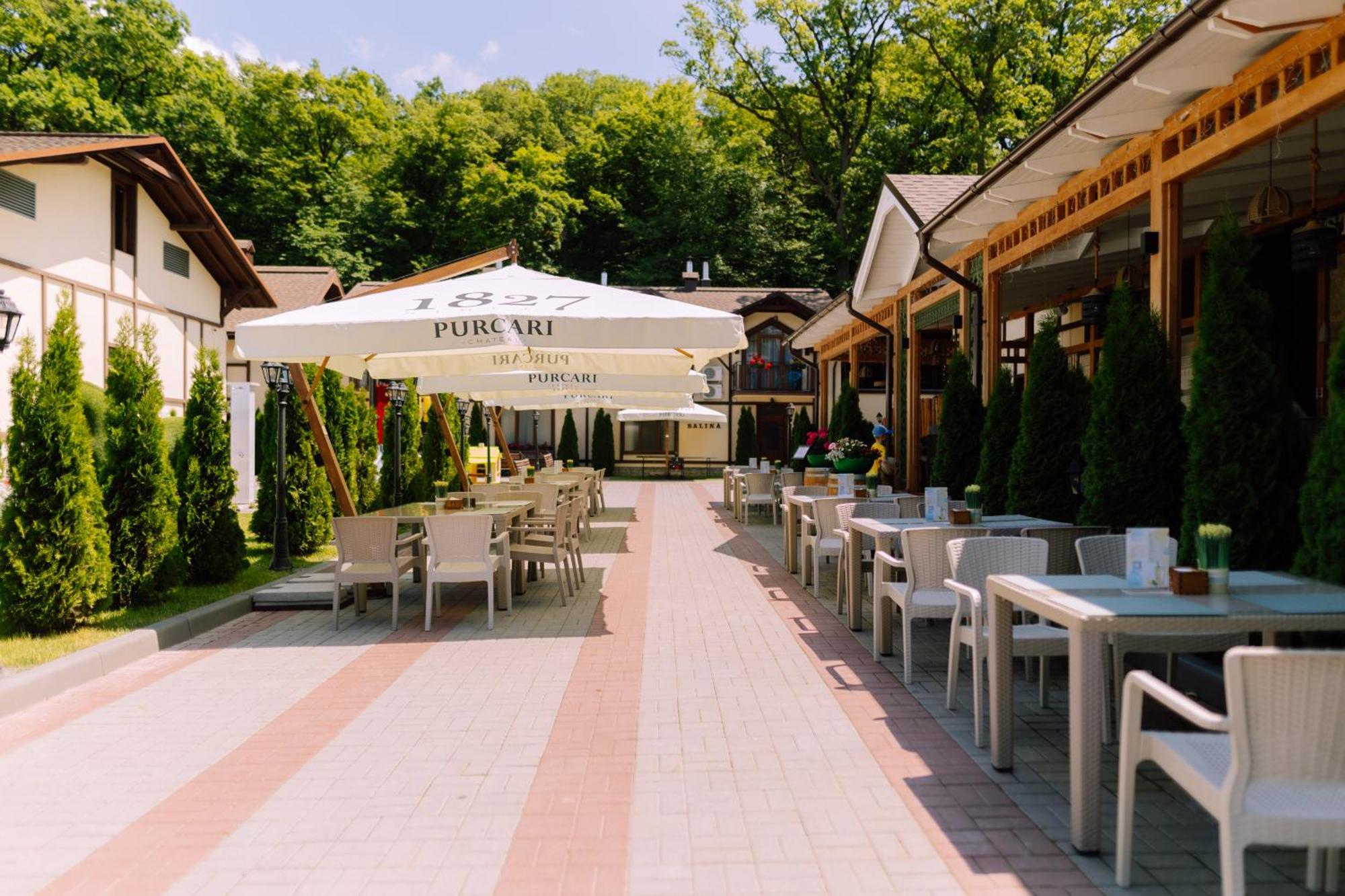 Отель Complex Turistic Codru Selistea Экстерьер фото